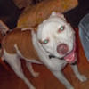buster15711